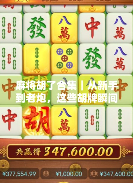 麻将胡了合集｜从新手到老炮，这些胡牌瞬间你都经历过吗？