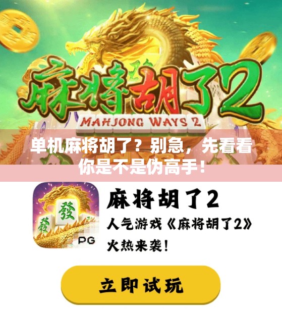 单机麻将胡了？别急，先看看你是不是伪高手！