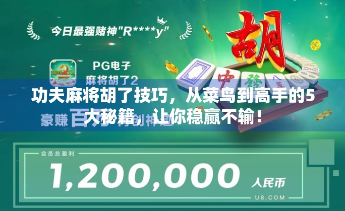 功夫麻将胡了技巧,从菜鸟到高手的5大秘籍,让你稳赢不输!